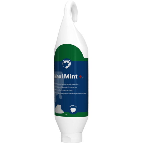Excellent Maxi Mint+ Sta-/Hangtube 1 l  Pepermuntgel met een verzachtende en verzorgende werking.