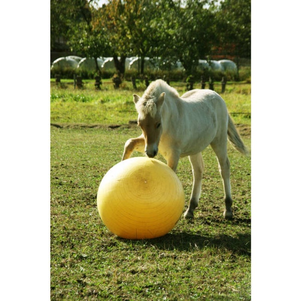 Maximus Power Play Ball 3 varianten – veilige en duurzame speelbal voor paarden