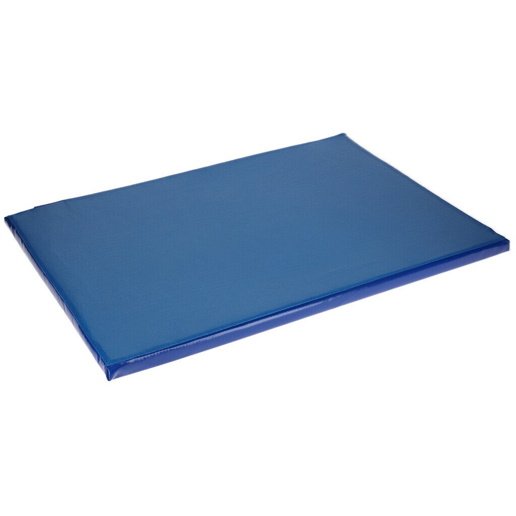 Ontsmettingsmat 85x60x3,5 cm Voor het ontsmetten van schoeisel. Van onder gesloten. Inhoud: 8 liter.