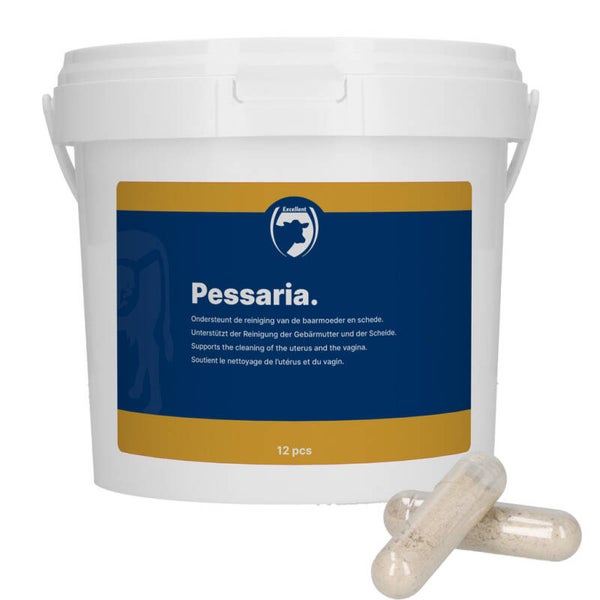 Excellent Pessaria Capsule 12 st