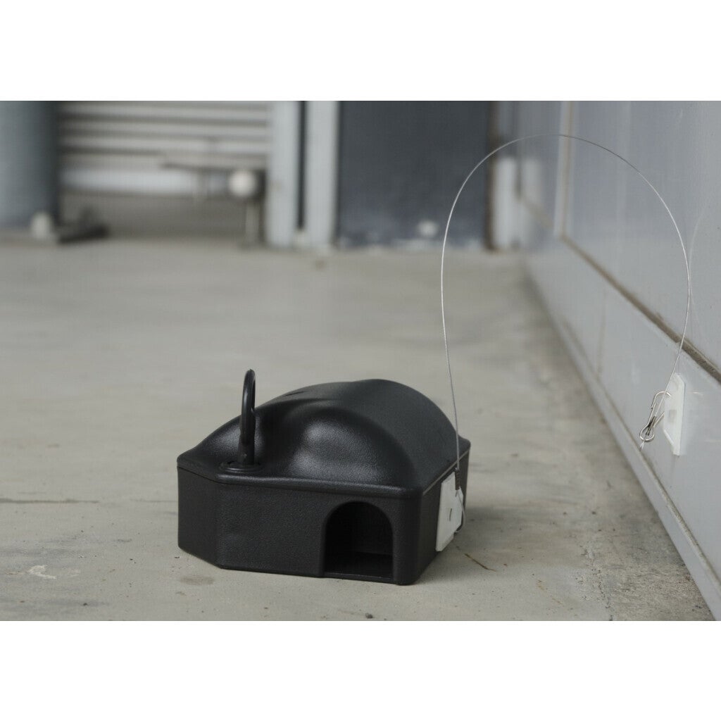 Voerdoos Plak-anker 25 cm
