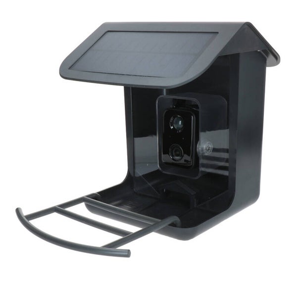 AI Bird Feeder met Camera Slim vogelvoerhuisje met ingebouwde camera en AI-herkenning. Herkent automatisch duizenden vogelsoorten, stuurt meldingen bij activiteit en maakt scherpe foto’s en video’s in HD-kwaliteit.