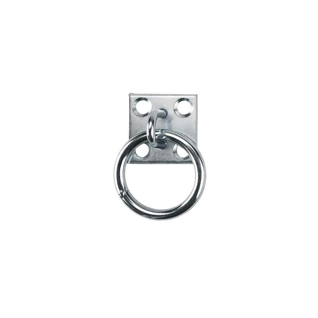 Stal aanbind/vastzet ring