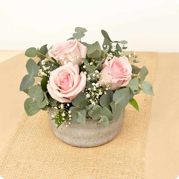 Composition Velours rose