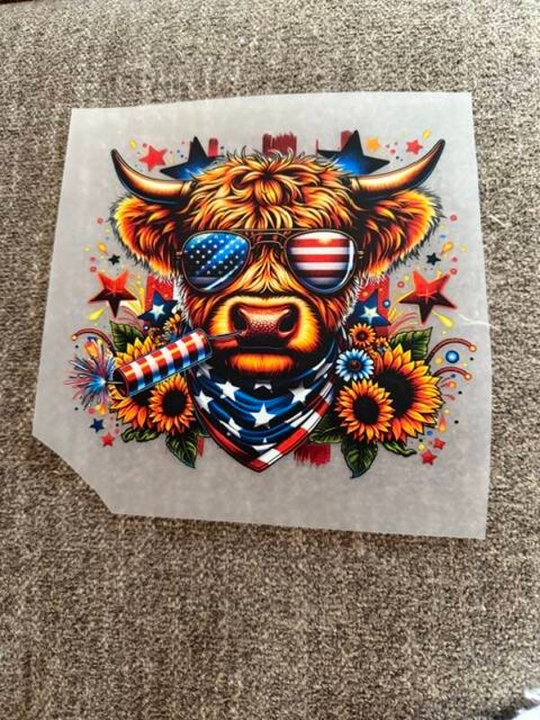 4th of July cow transfer