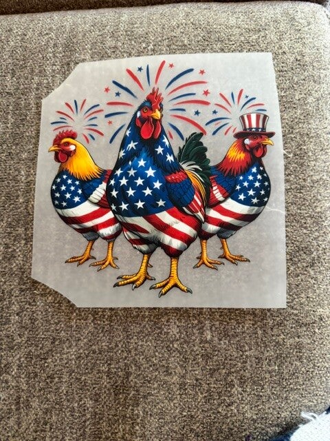 chickens transfer