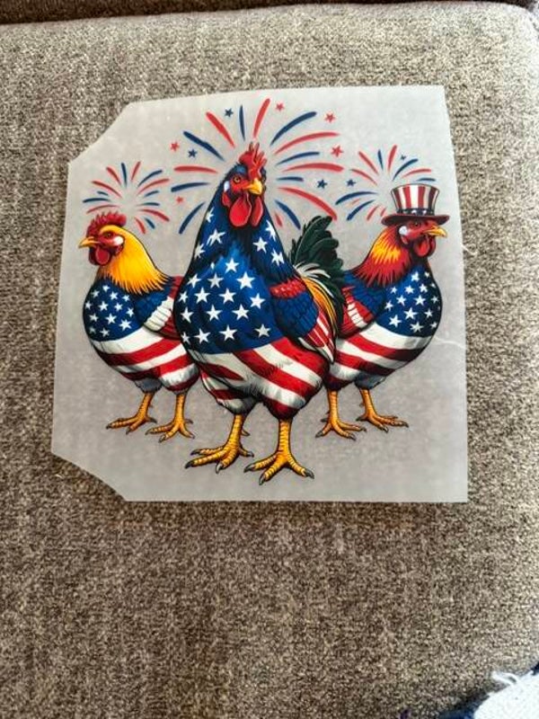 chickens transfer