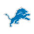 Lions Fanatic