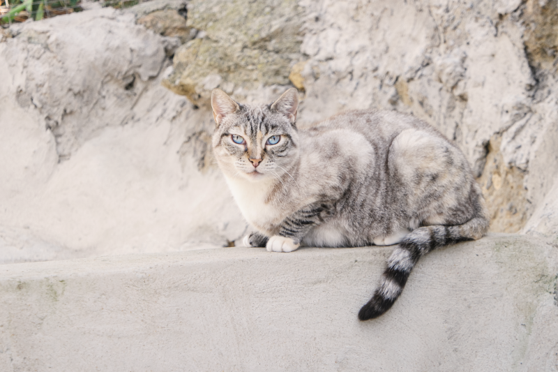 Adalet im Portrait  Refugium Apanot 