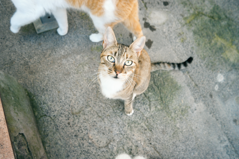 Agueda im Portrait  Refugium Apanot