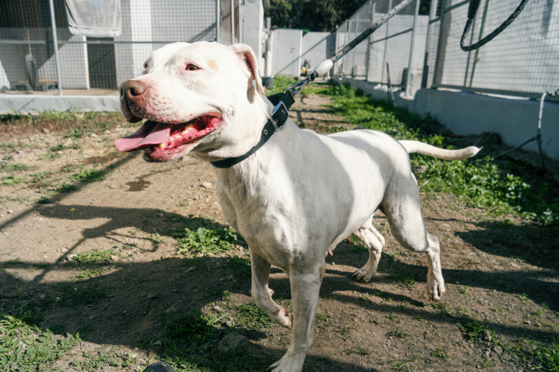 Ginebra im Portrait Refugium Apanot