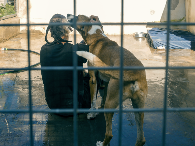 Lauro im Portrait Refugium Apanot