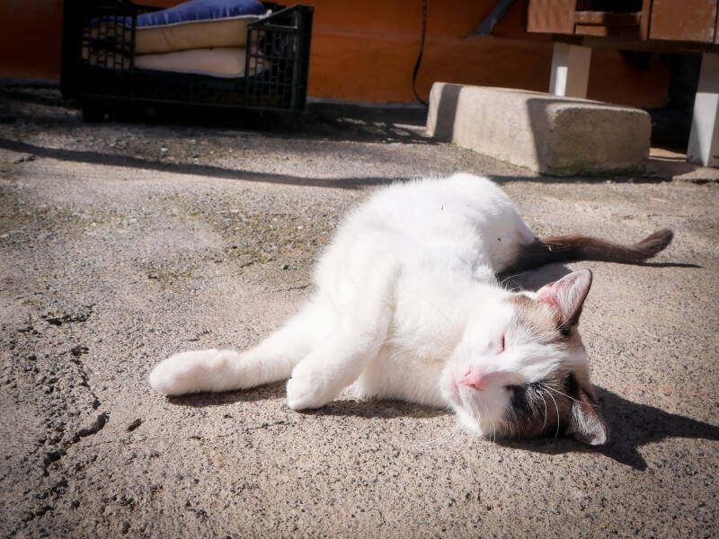 Lidia im Portrait  Refugium Apanot 