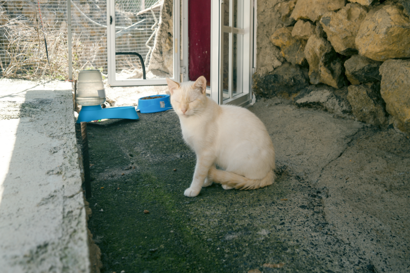 Mustafa im Portrait  Refugium Apanot 