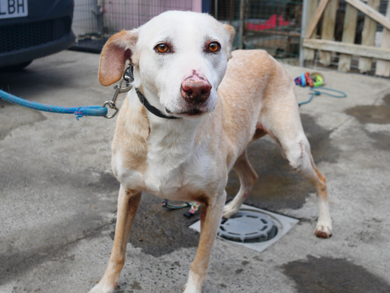 Omar im Portrait Refugium Apanot