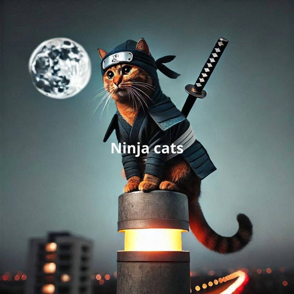 Ninja cat