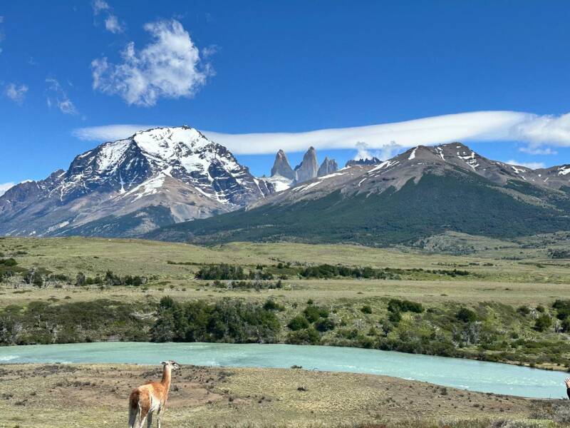 Torres del Paine with Guanaco in Chile