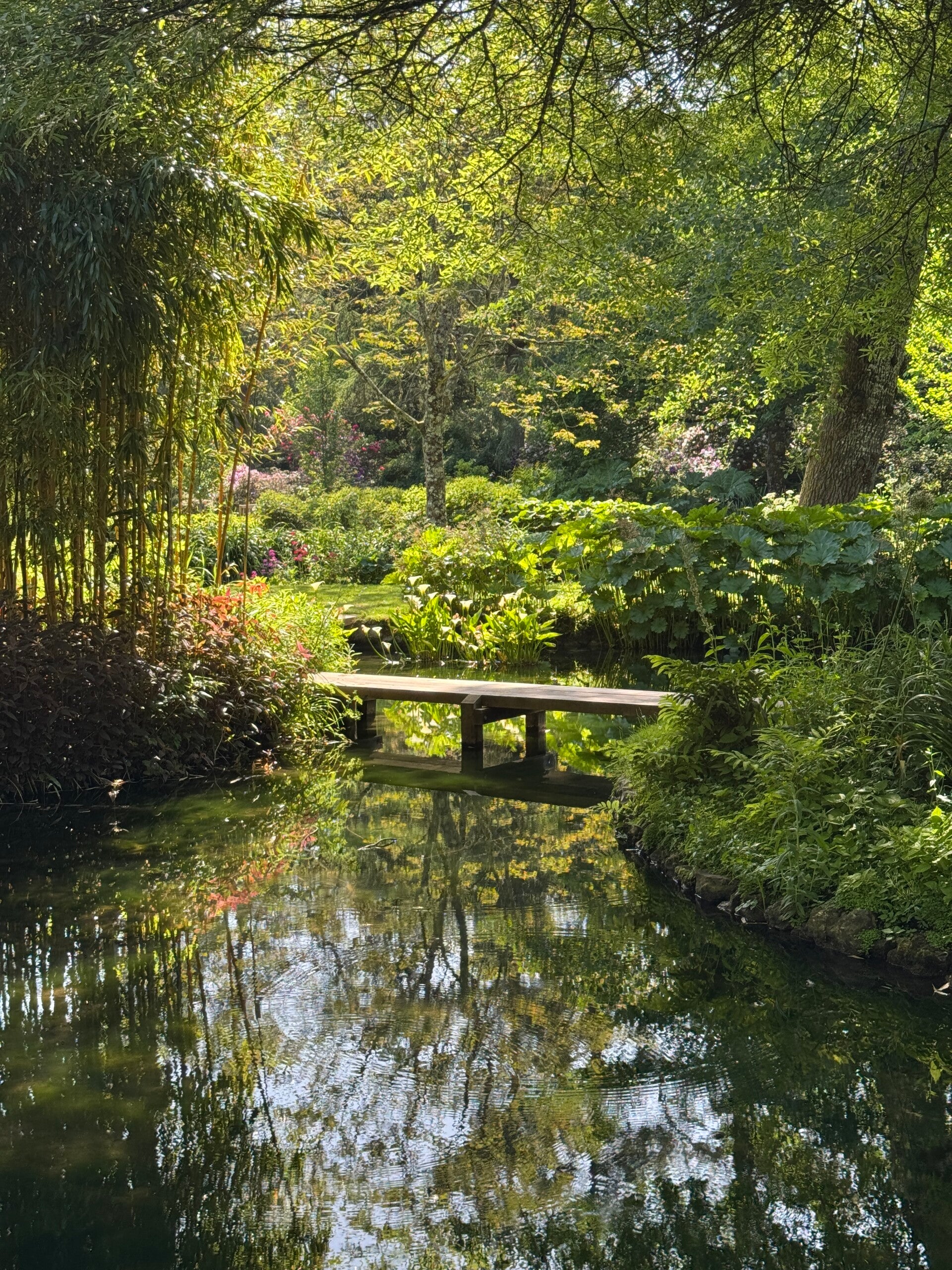 Forest Bathing at Longstock Park Water Garden Sunday 12th July 2026