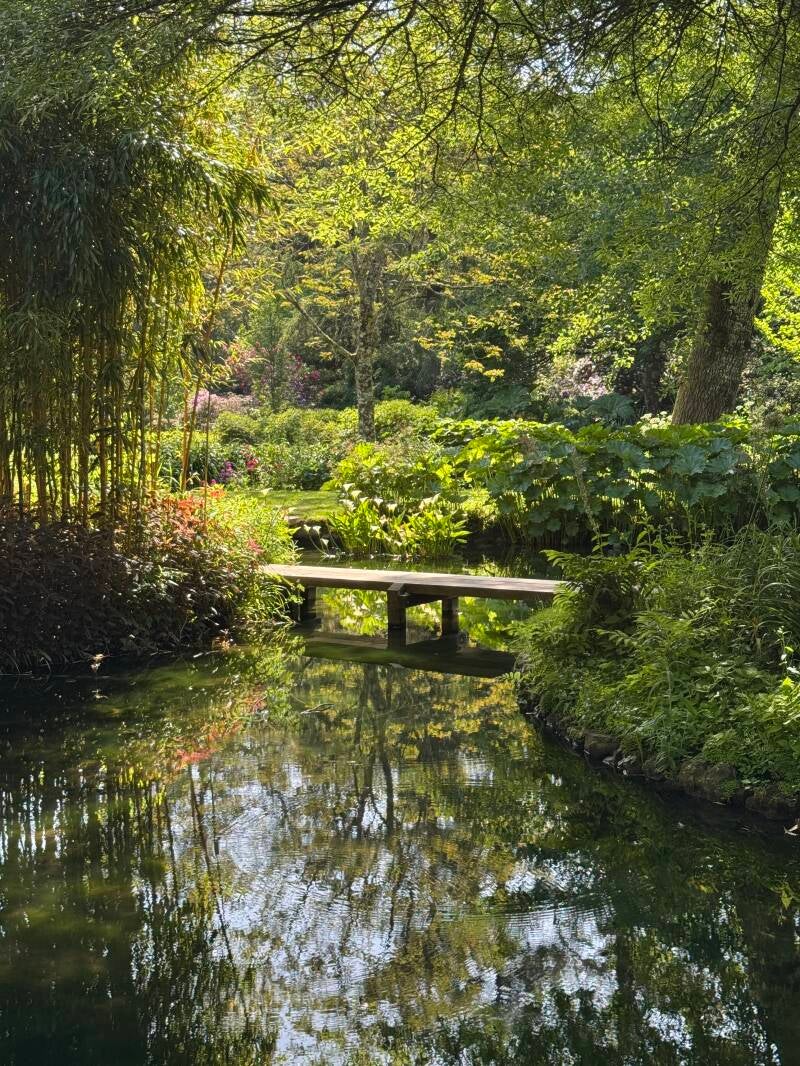 Forest Bathing Retreat at Longstock Park Water Garden Monday 3rd August 2026