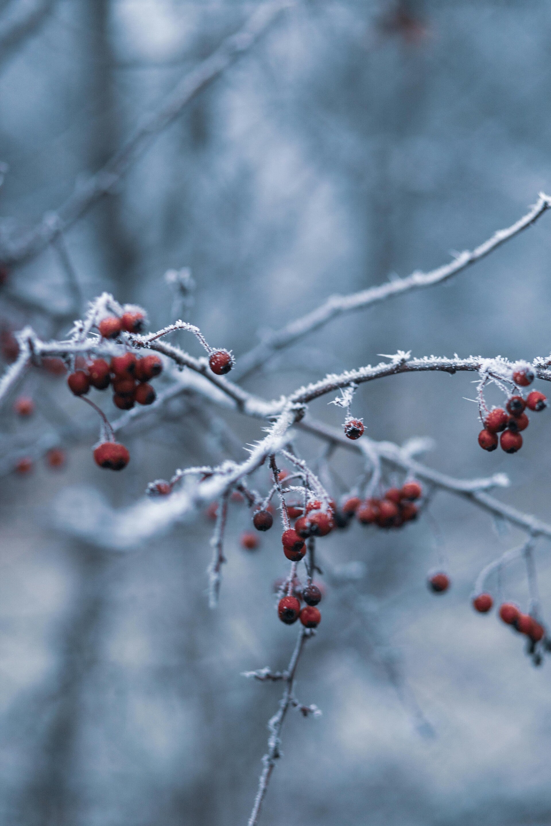 Twixtmas Mindful Photography Wednesday 30th December 2026