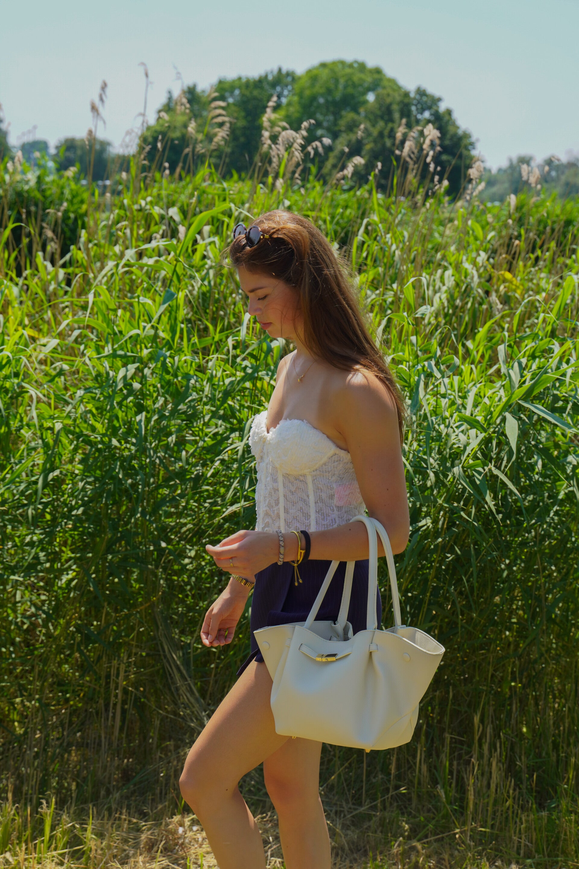 dsc03105-standard.jpg