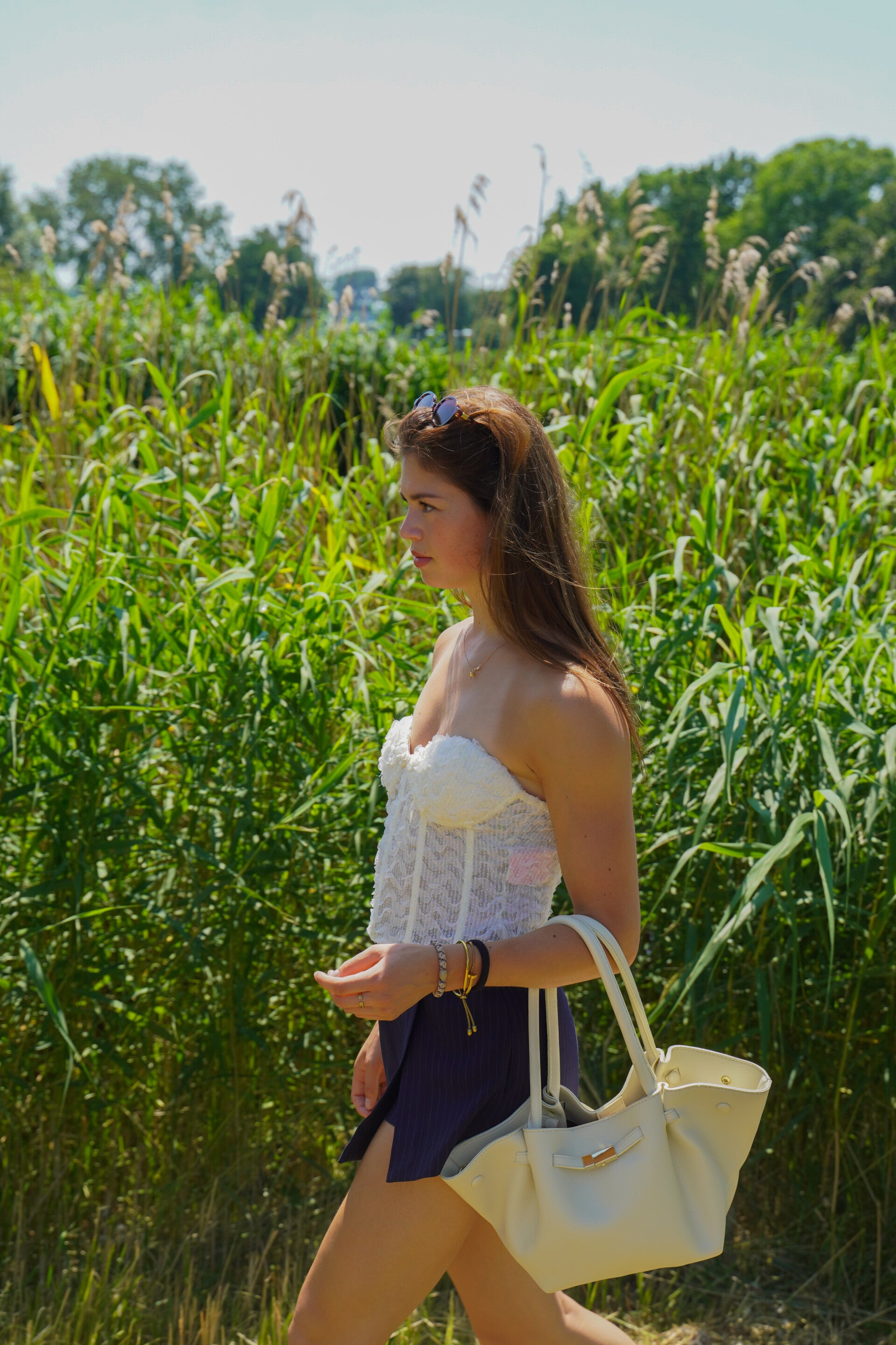 dsc03109-standard.jpg