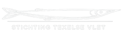 Texelse Vlet