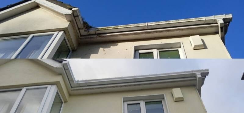 Roof cleaning before and after