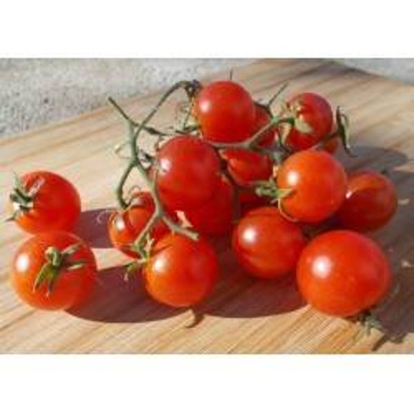 Tomate Cerise Délice du Jardinier