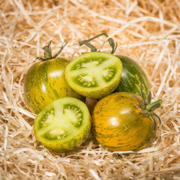 Tomate Green Zebra