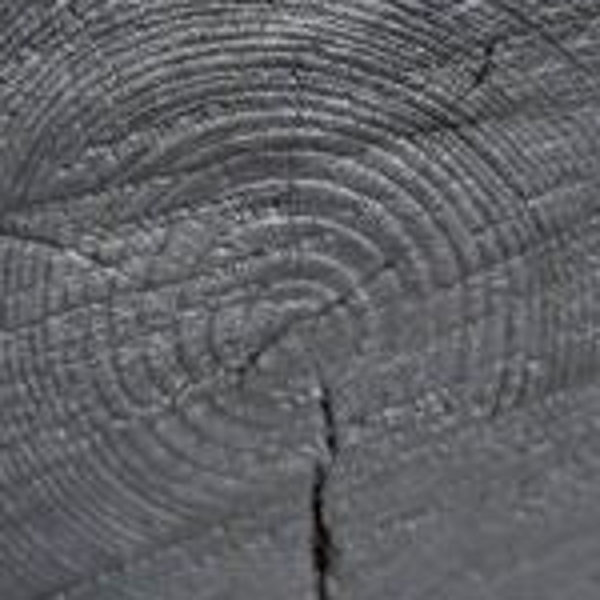 Sculpture Bois brûlé 10 - Shou Sugi Ban