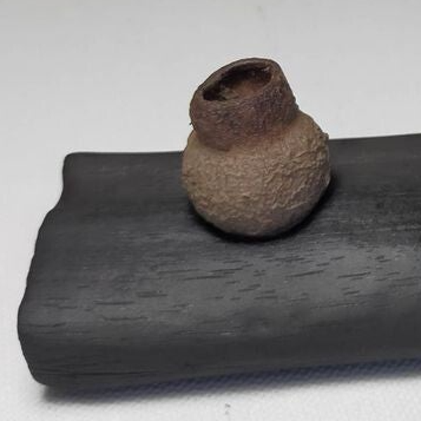 Sculpture Bois brûlé  15- Shou Sugi Ban