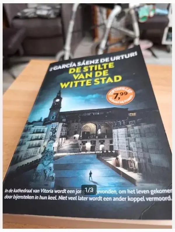 Boek de stilte van de stad
