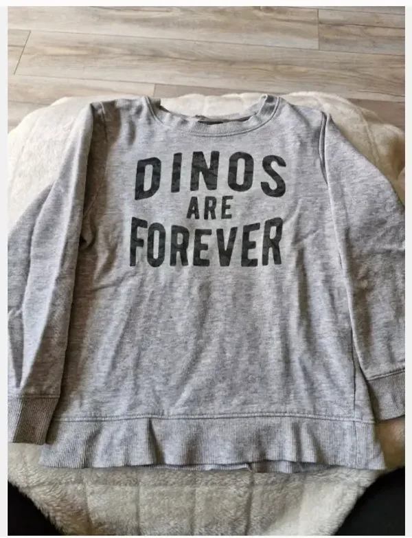 Grijze dinos are forever trui maat 110-116