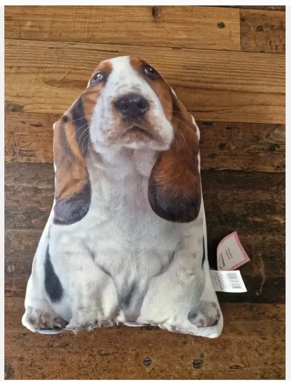 Honden kussen