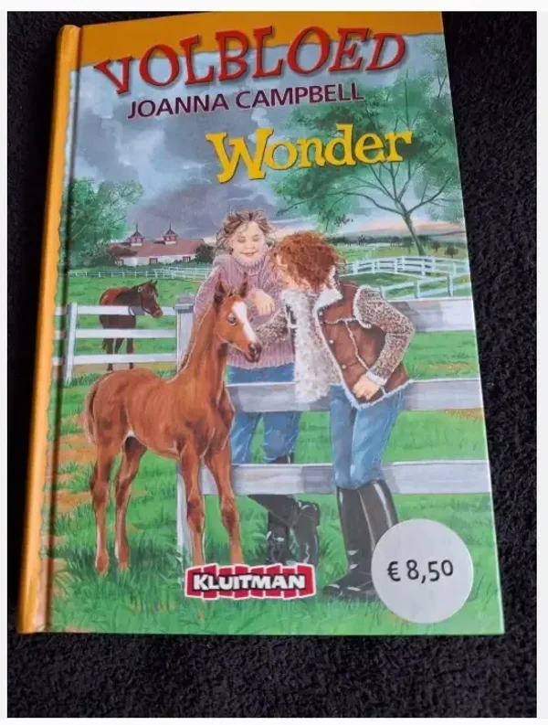 Joanna Campbell - Wonder