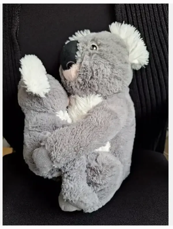 Mama koala met kind knuffel