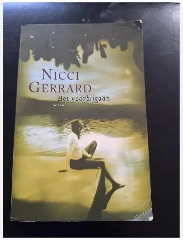 Nicci Gerrard - Het voorbijgaan