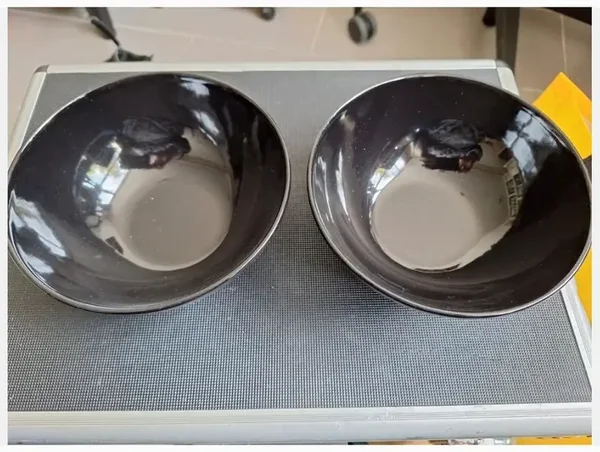Set van 2 zwarte schalen