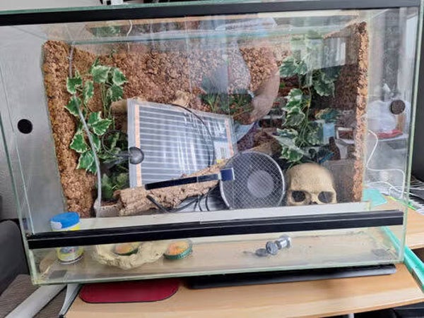 Terrarium
