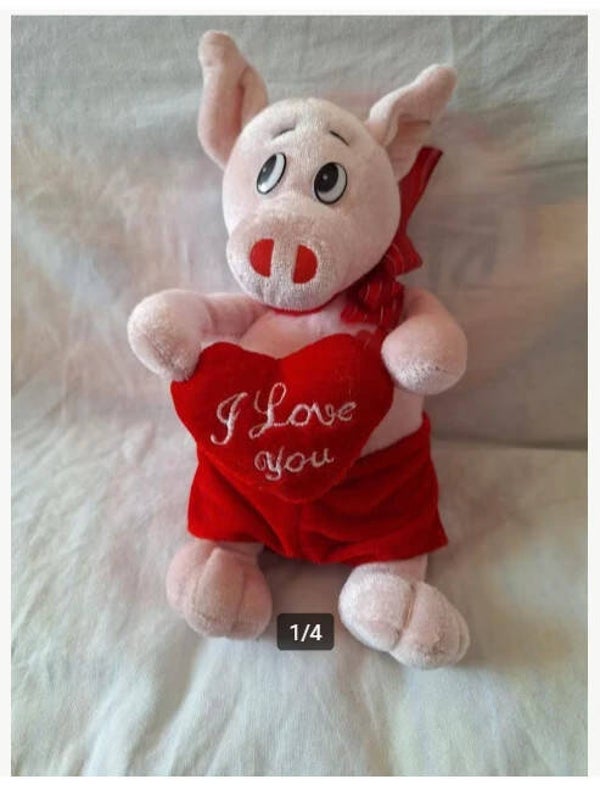 Varken knuffel met hart