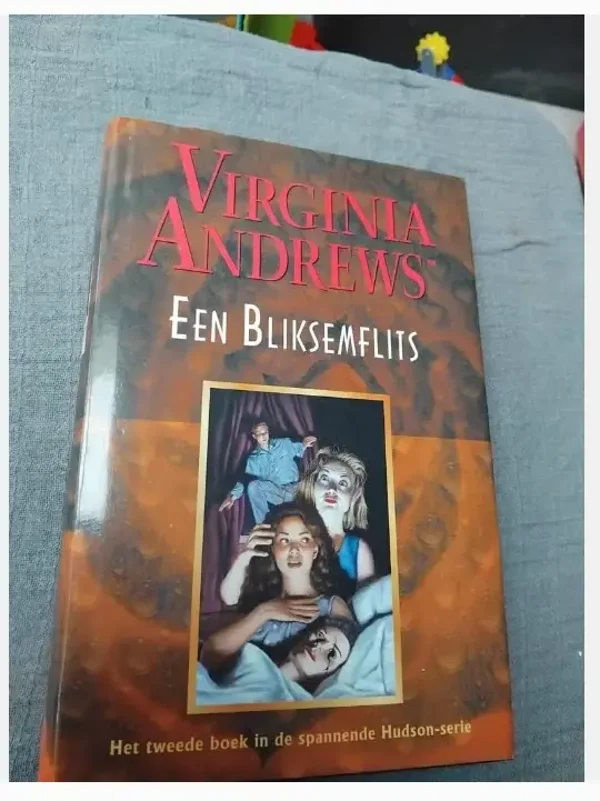 Virginia Andrews Een bliksemflits