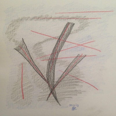 1900C5E3-D57A-4CD8-802E-98B3BE0E3AF0.jpeg