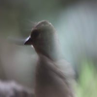 img_2412.jpeg