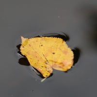 img_0188.jpeg