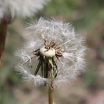 28764A54-8F09-4004-A809-AFDAA8676BD8.jpeg