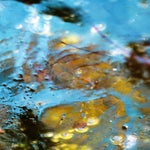 c8711cf7-fd54-4b90-a472-23d8fa5c0802.jpeg