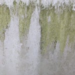 5572A04A-96CF-4E03-8317-206BADAFF881.jpeg