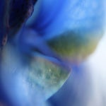 B3D17796-C8AC-4213-9A18-2D2ED5740F64.jpeg