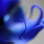 55F893C7-B1B4-4CB7-9BB8-B9C5C864E554.jpeg